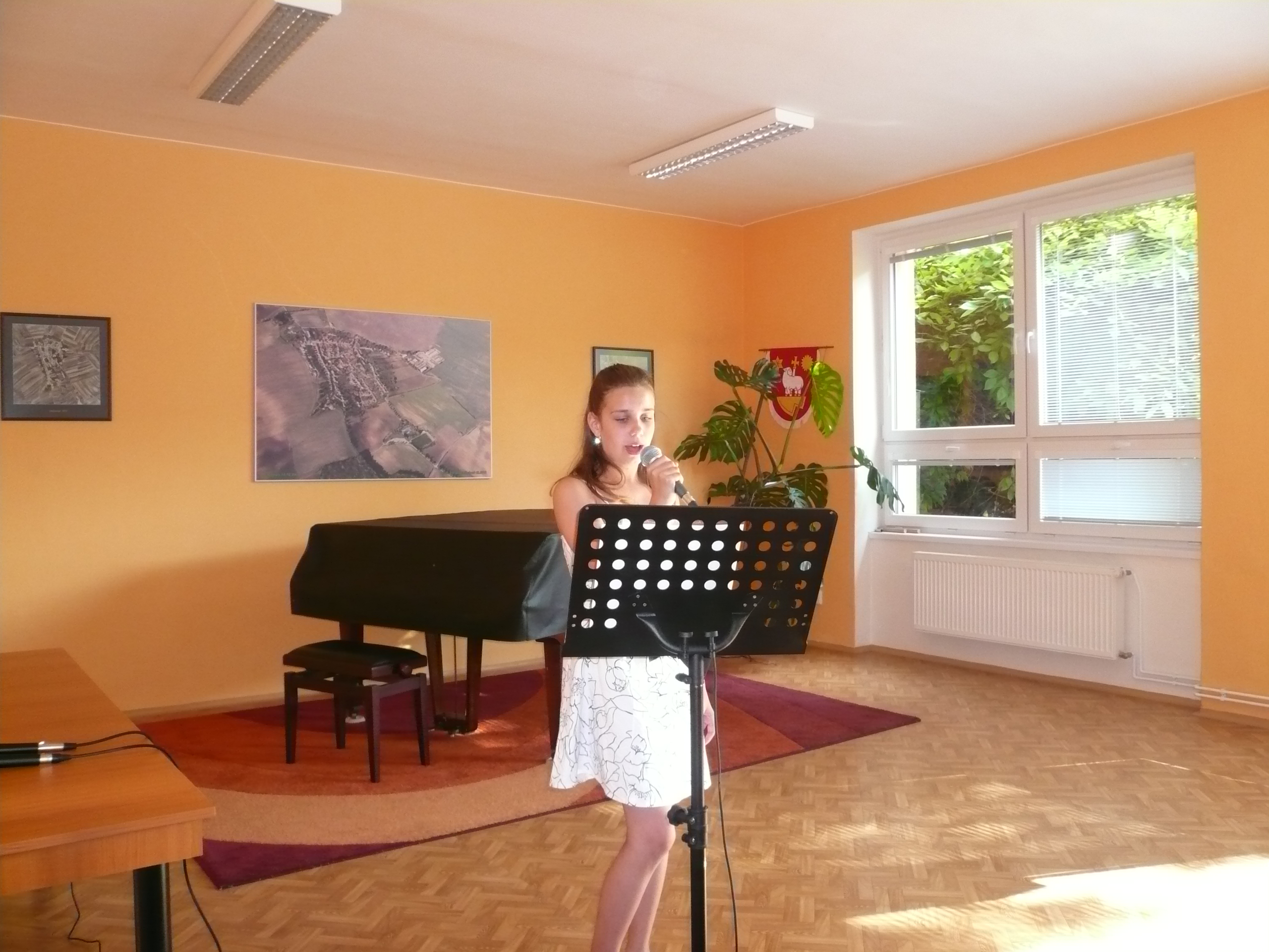 rozlučka 2010 004